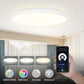 20W φ280mm LED Smart Ceiling light RGB+CCT+DIM Ultra Slim APP&Voice Control IP54